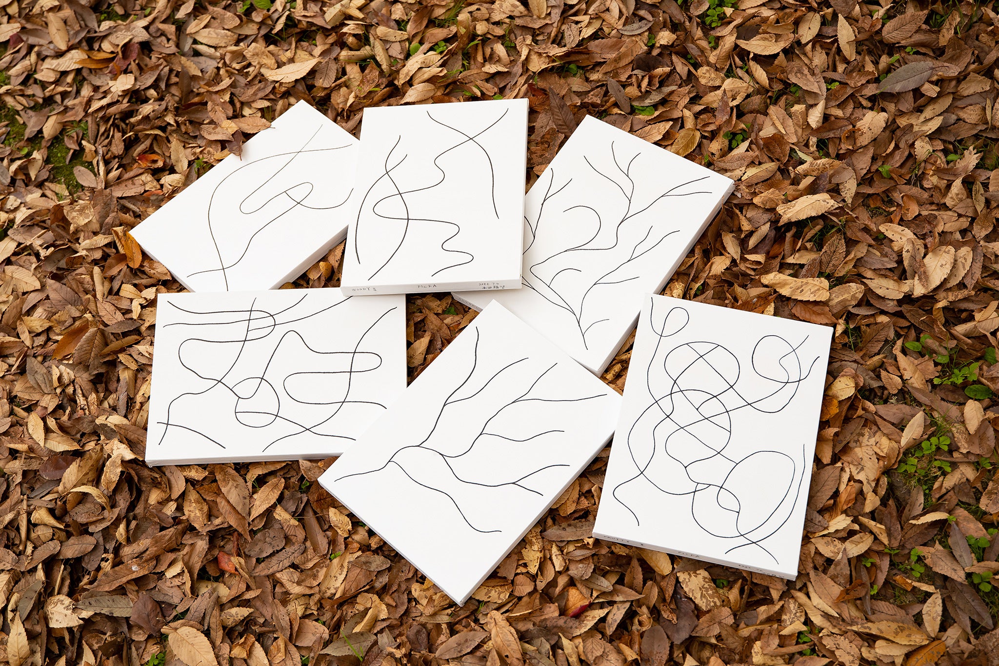 本田さんがOSAJIのために描き下ろした作品。