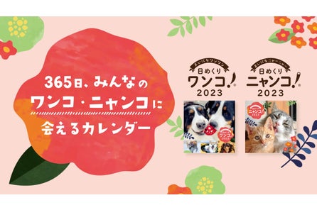 みんなでつくる 日めくりカレンダー 日めくりワンコ 24 日めくりニャンコ 24 フォトコンテスト開催 共立ホールディングス株式会社のプレスリリース みんなでつくる 日めくりカレンダー 日めくりワンコ 24 日めくりニャンコ 24 フォトコンテスト開催 共立ホールディングス株式会社のプレスリリース
