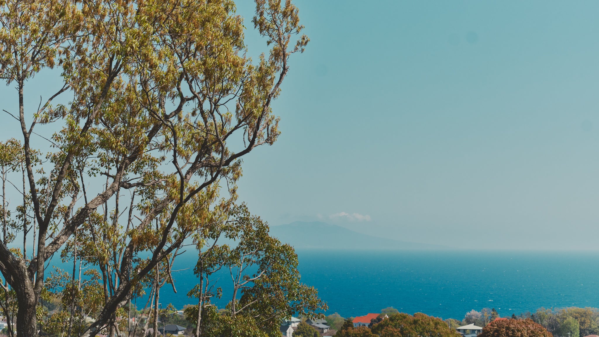 東に面した大きな窓からは海から昇る朝日が見えます。