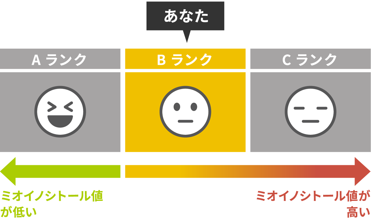 検査結果（ランク一覧）