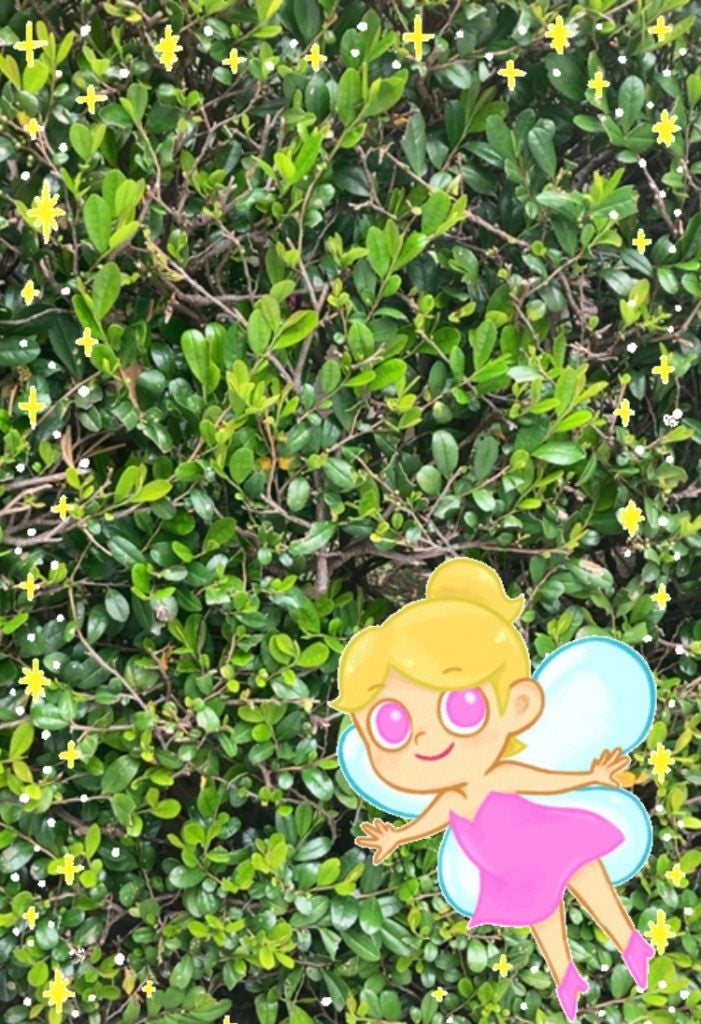 ARフレーム撮影例