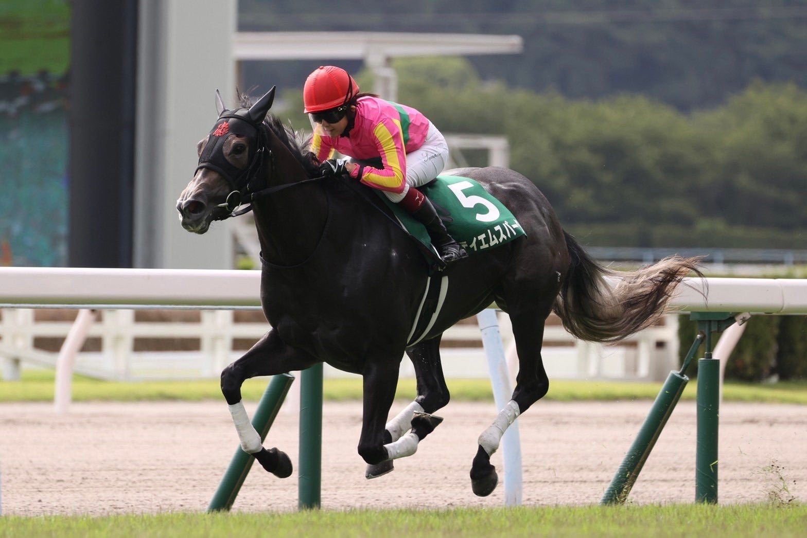 【今村聖奈公式Twitterより】