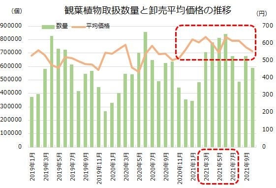 ※「市場統計情報（～ 2021年 10月）」（東京都中央卸売市場）より当社作成
