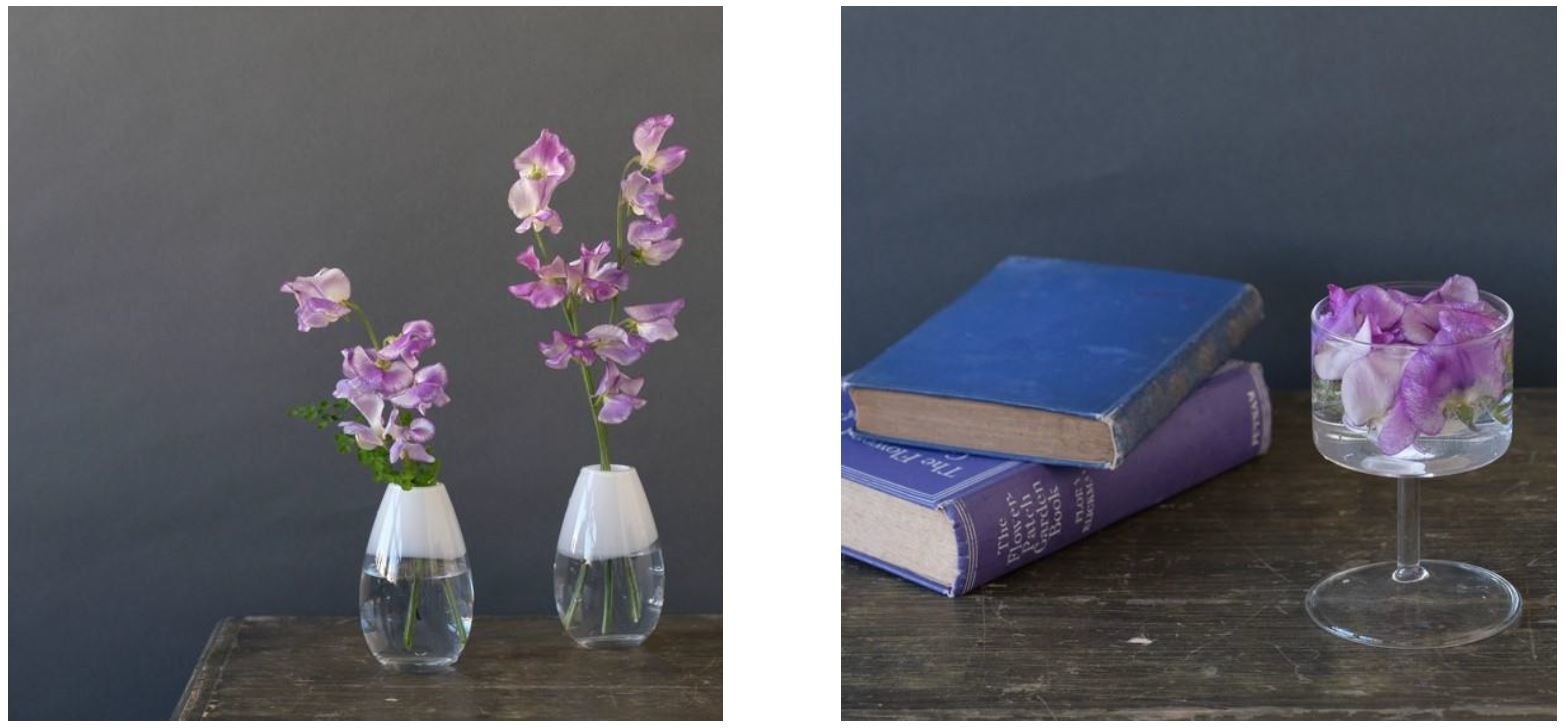 第一園芸 2月のおすすめのお花 スイートピー のフェア開催 リラックスできる甘い香りで春を告げる花 スイートピー フラワーバレンタインの贈り物にもぴったり 第一園芸株式会社のプレスリリース 第一園芸 2月のおすすめのお花 スイートピー のフェア開催 リラックスできる甘い香りで春を告げる花 スイートピー フラワーバレンタインの贈り物にもぴったり 第一園芸株式会社のプレスリリース