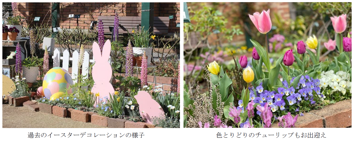 練馬区立 四季の香ローズガーデンにて ハッピーイースターフェア 開催 オリジナルのイースター エッグづくりやうさぎのフラワーアレンジメント体験を実施 第一園芸株式会社のプレスリリース