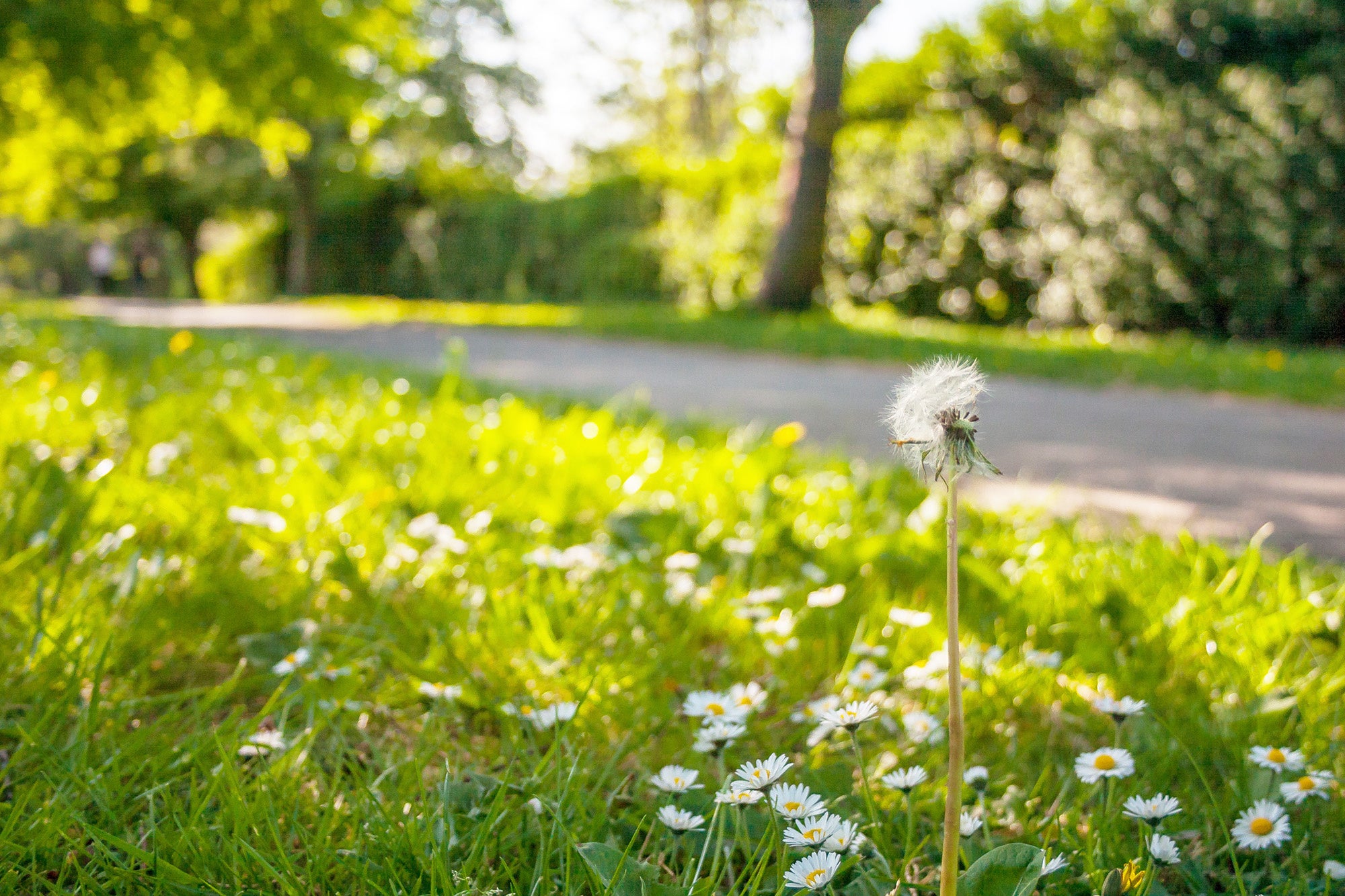 画像はイメージです