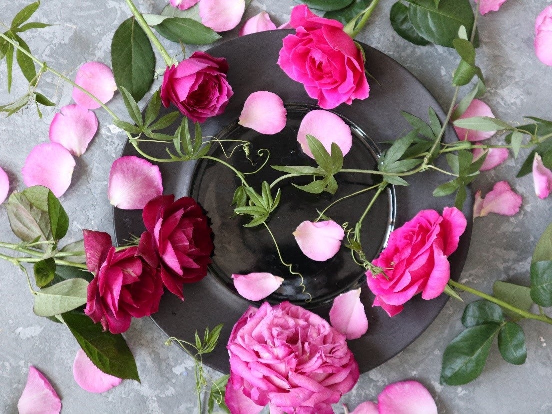 第一園芸 おうち時間や出会いの季節のギフトにおすすめのバラのフェアを展開 リラックスできるバラ の香りで 春からの新生活のリズムを整える 第一園芸株式会社のプレスリリース