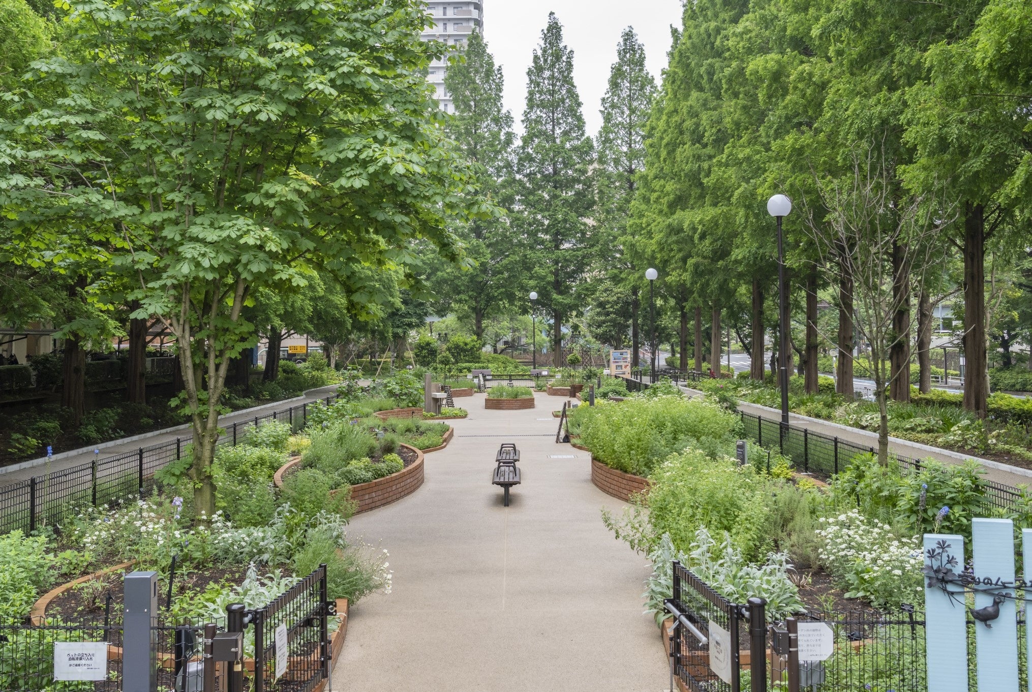 触れて楽しめる「香りのハーブガーデン」