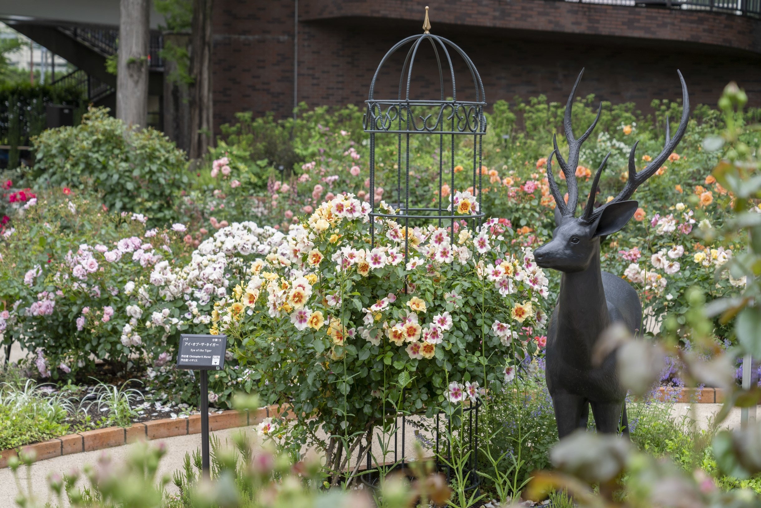 「色彩のローズガーデン」には可愛らしい鹿のオブジェも