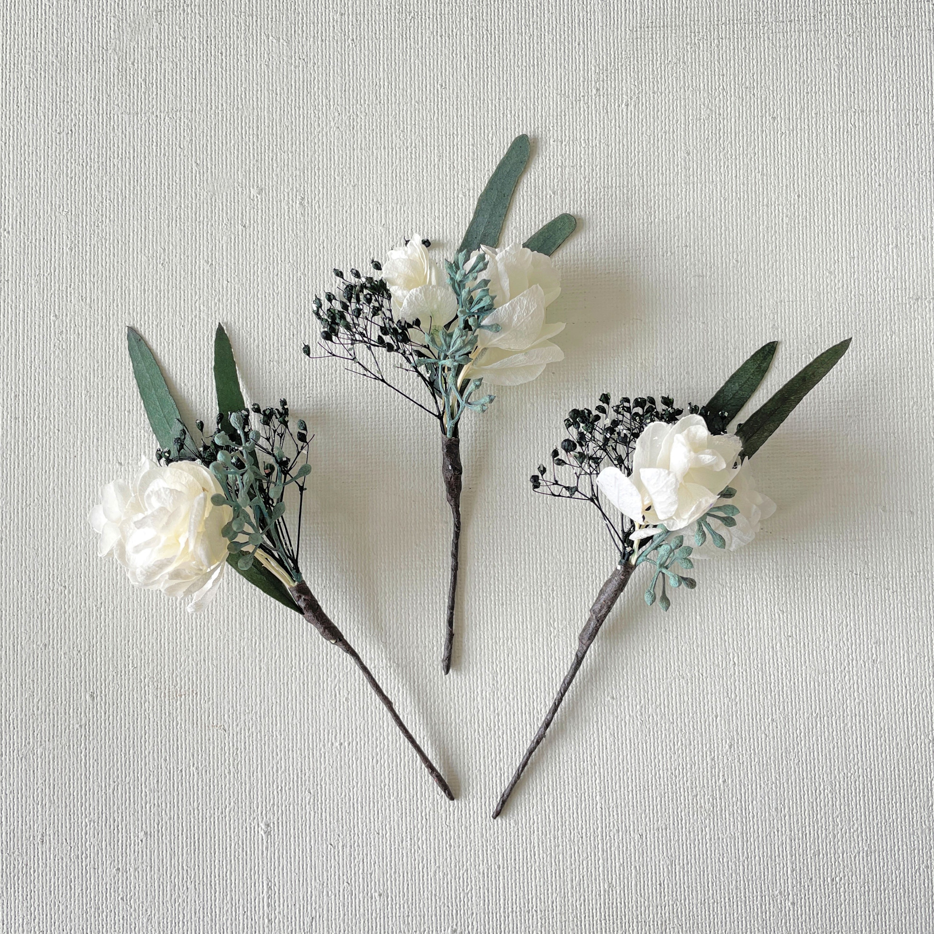 ③カシワバアジサイホワイト