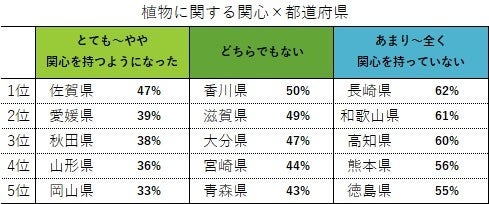 スクリーニング単一回答（n=5,000）