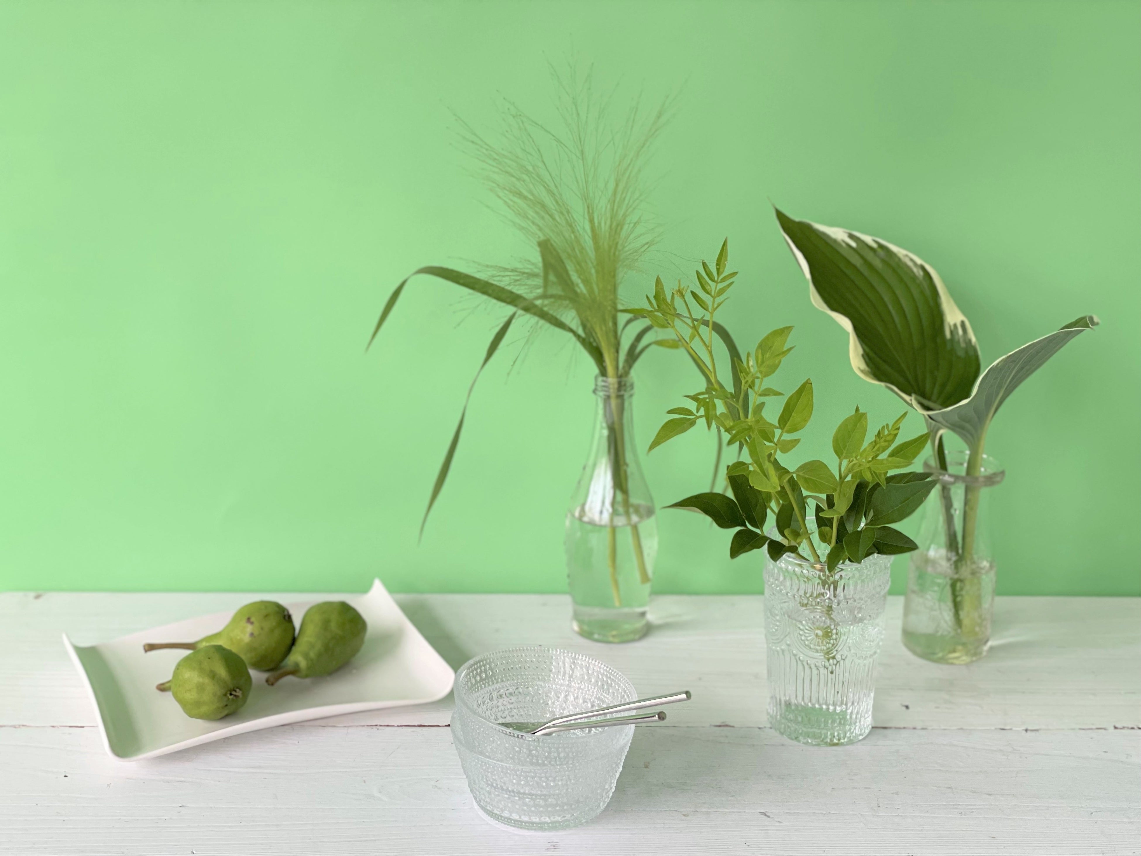 コロナ禍で需要拡大 夏の暑さにも強い 観葉植物 のフェア開催 暮らしにグリーンを取り入れ 夏のおうち時間を涼やかに演出 第一園芸株式会社のプレスリリース