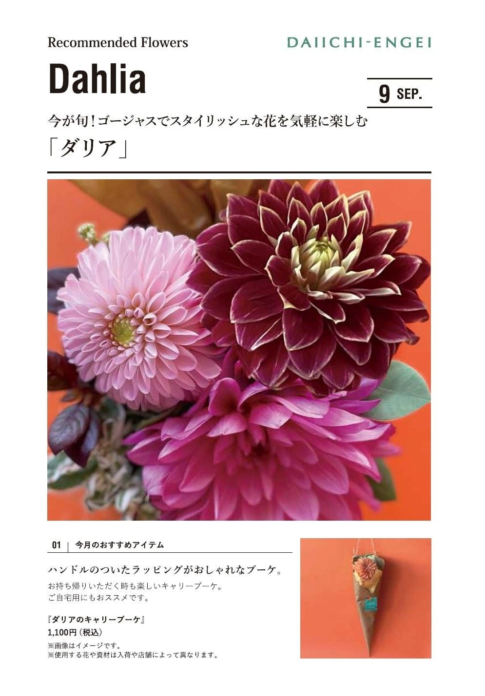秋が旬の「ダリア」を飾って秋を先取り／ギフトやご自宅用に