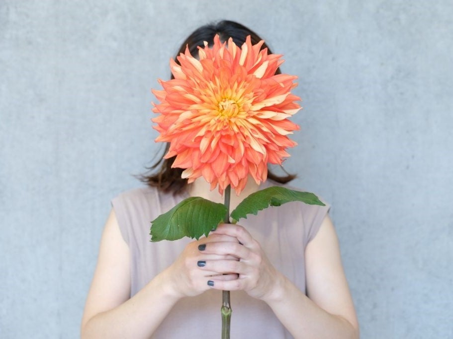 秋が旬の ダリア を飾って秋を先取り ギフトやご自宅用にぴったりのアイテムを展開 第一園芸株式会社のプレスリリース 秋が旬の ダリア を飾って秋を先取り ギフトやご自宅用にぴったりのアイテムを展開 第一園芸株式会社のプレスリリース