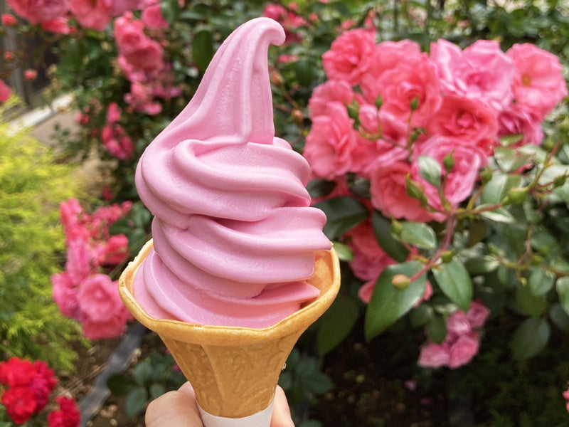ローズソフト／350円（税込）