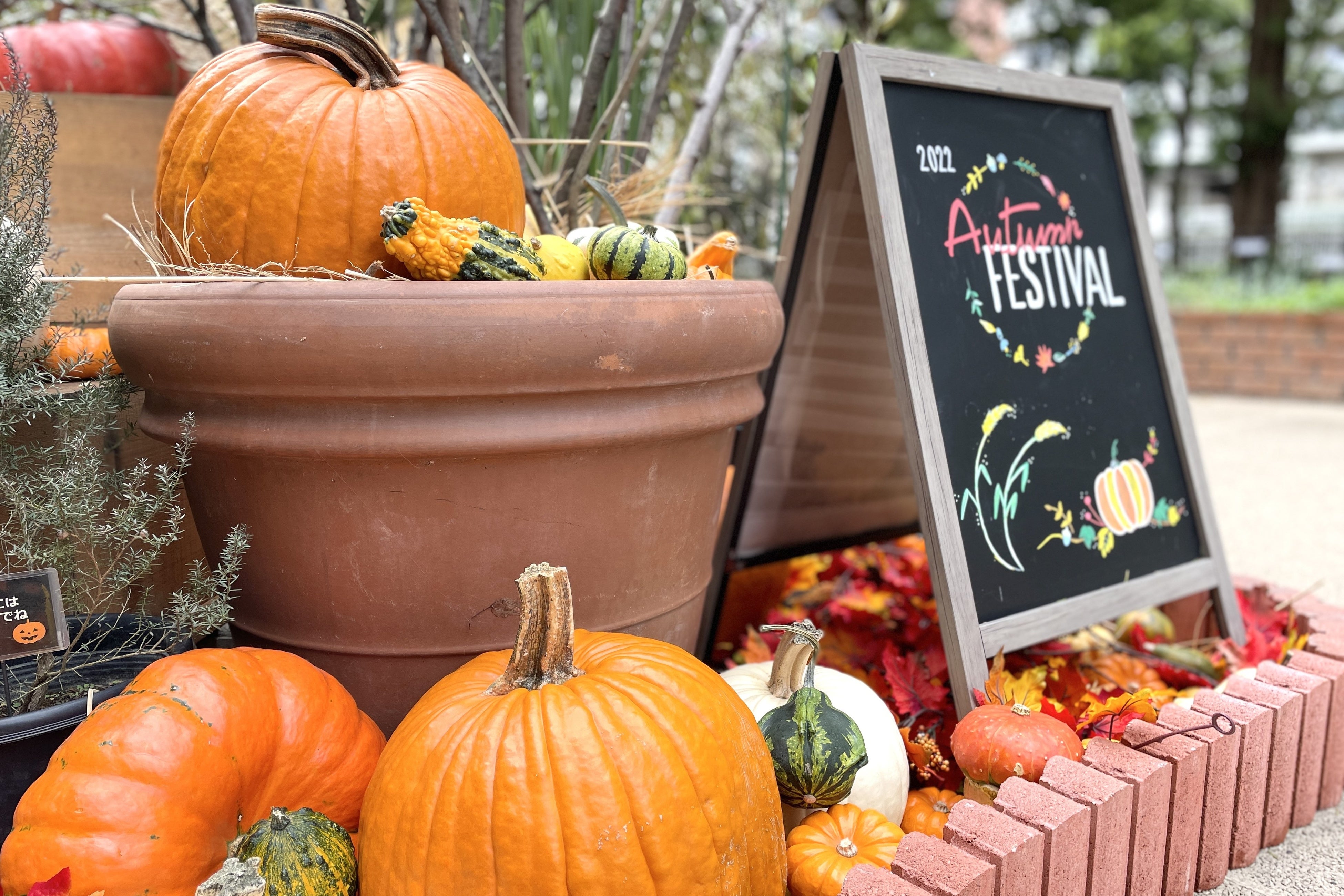 r133 ガーデンコラム ローズのデコレーションが華やかでゴージャスなデザイン 練馬区立 四季の香ローズガーデン／秋のバラを堪能する「2025オータム