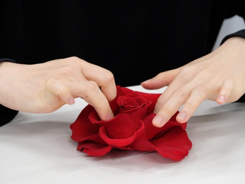 花びらを一枚一枚調整して規程の大きさに整えます