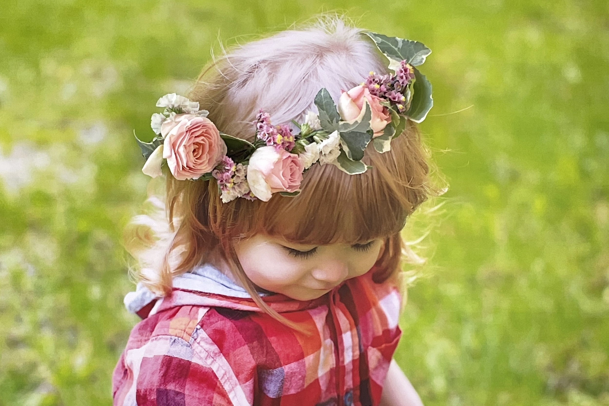 画像はイメージです