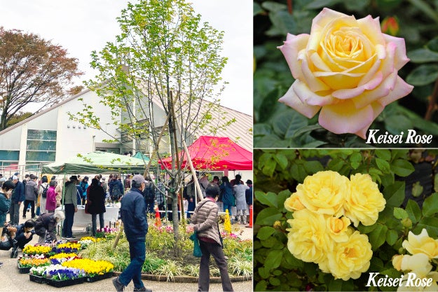 画像はイメージです