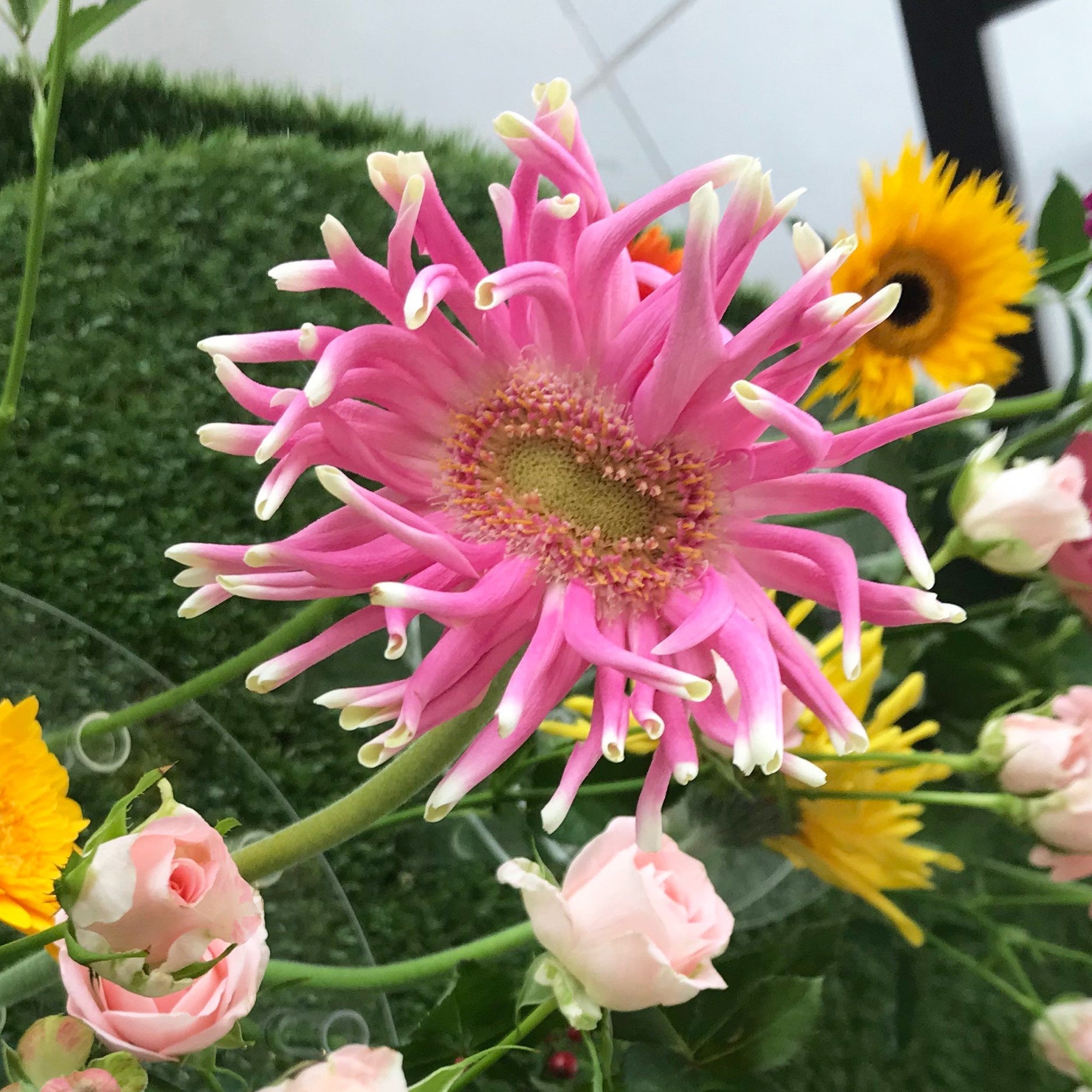 規格外となったユニークフラワー