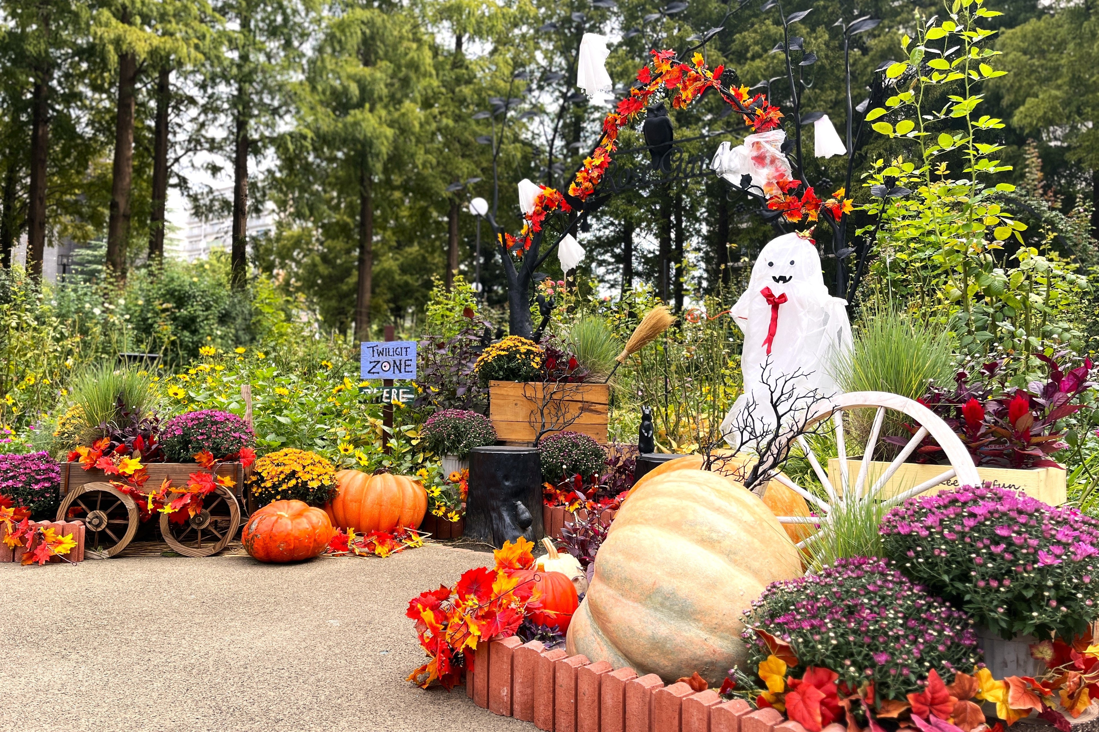 色彩のローズガーデン