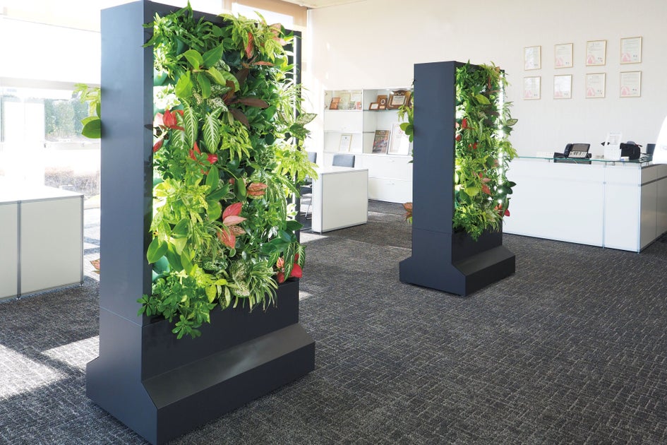 バイオフィリックデザインでオフィスを変える/本物の植物が育つオフィス向け什器「Botanicalシリーズ」を販売 | 第一園芸株式会社のプレスリリース