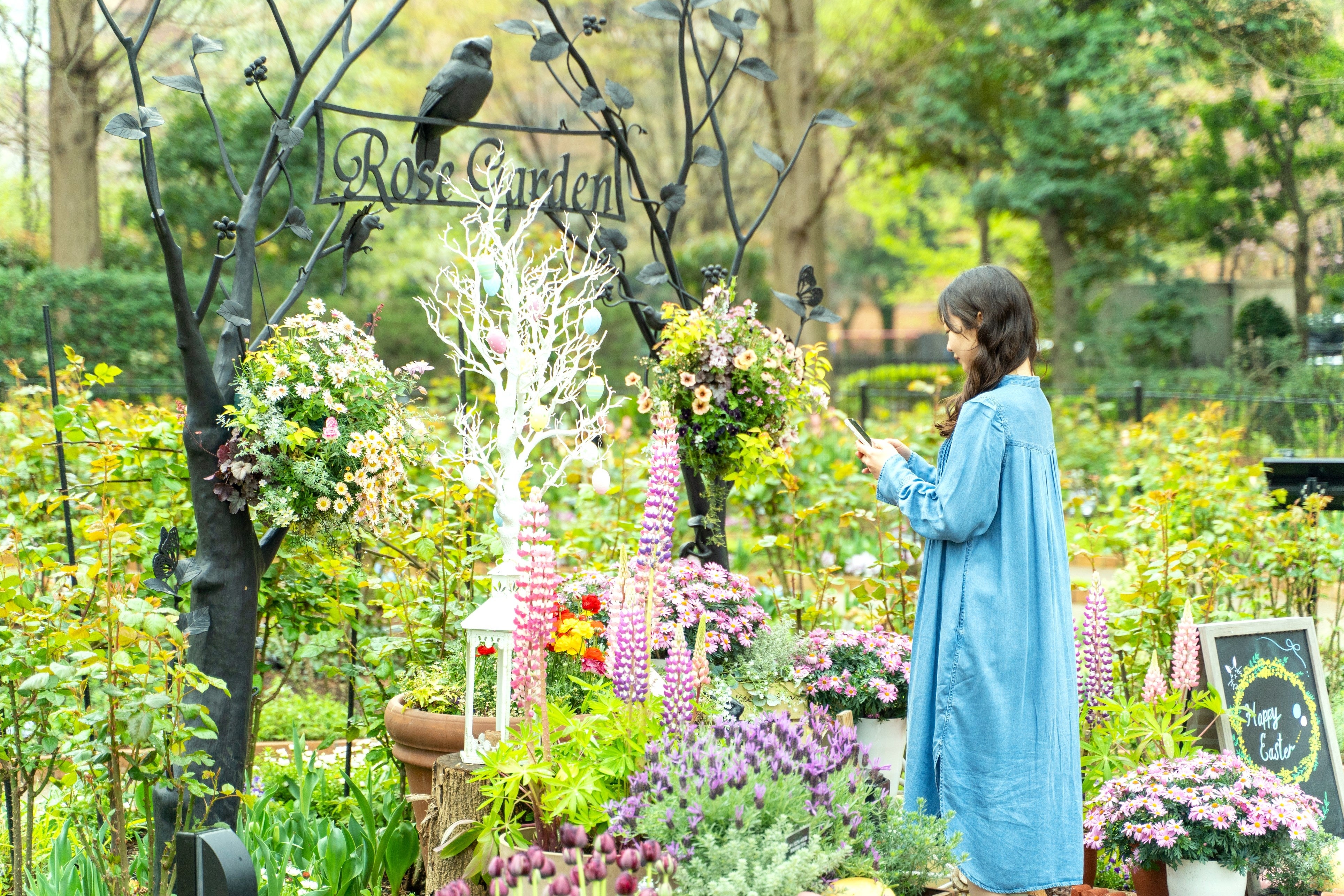 2023年のフォトスポット