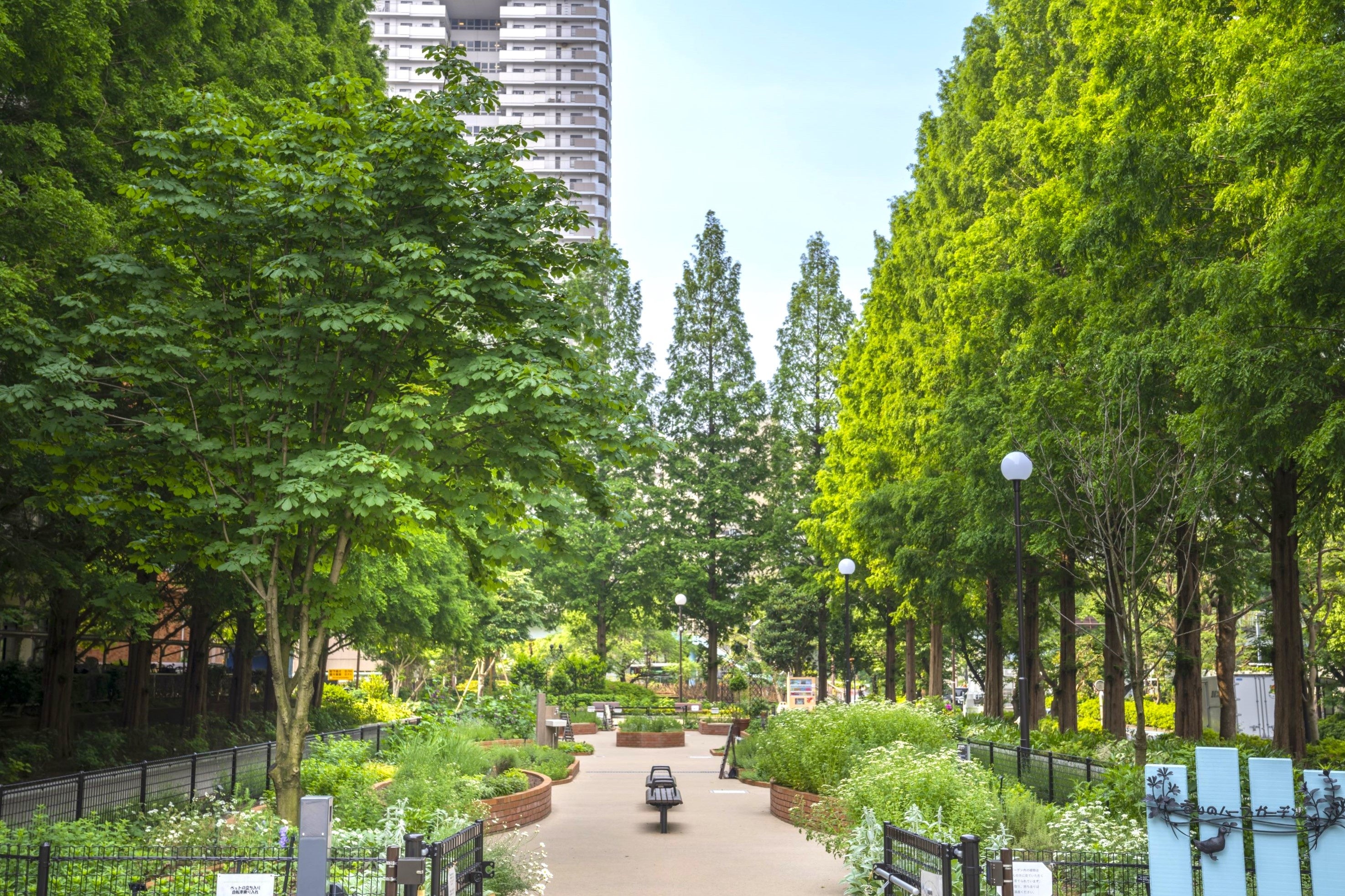 200種類以上のハーブや野菜が楽しめるハーブガーデン