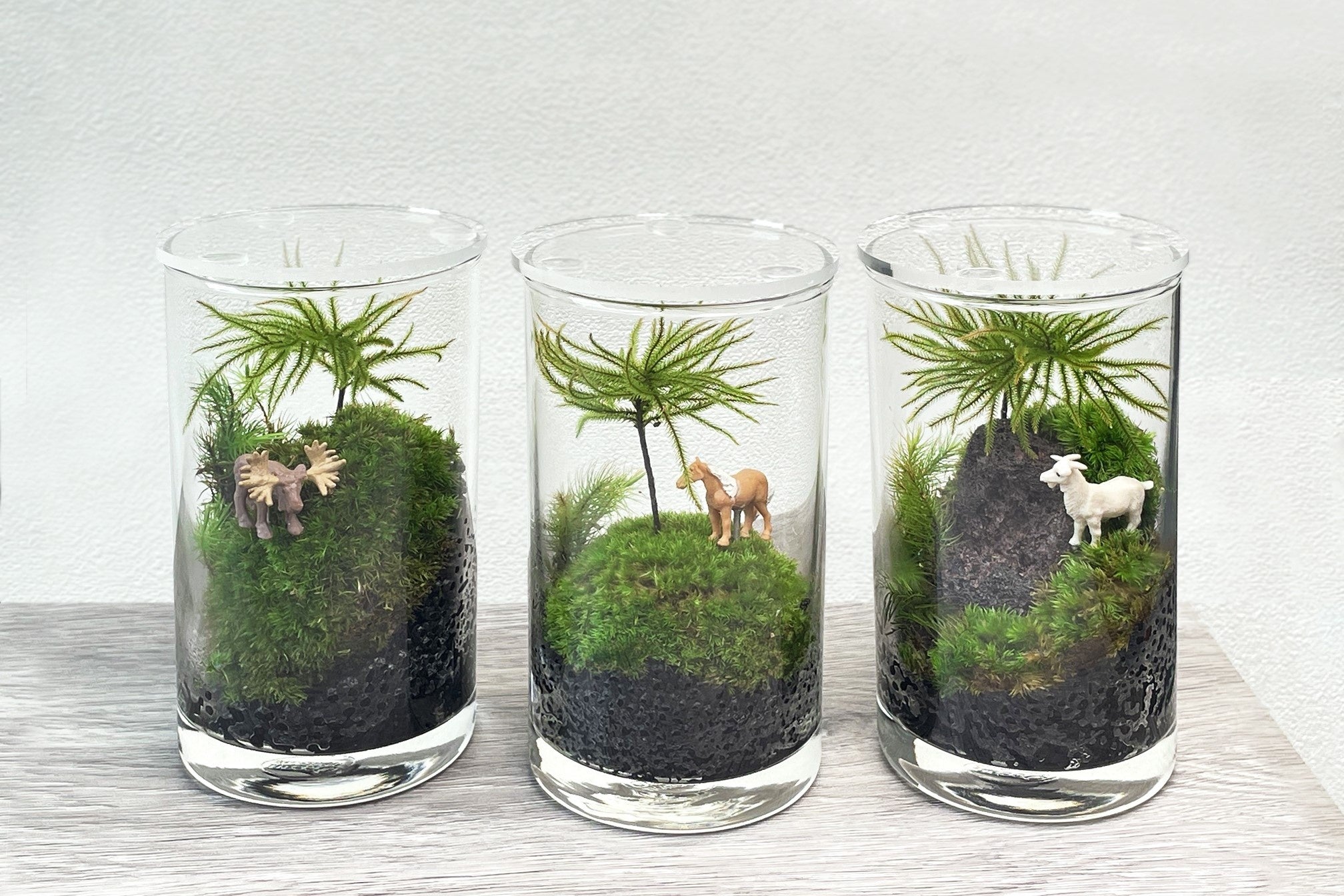 ※画像はイメージです