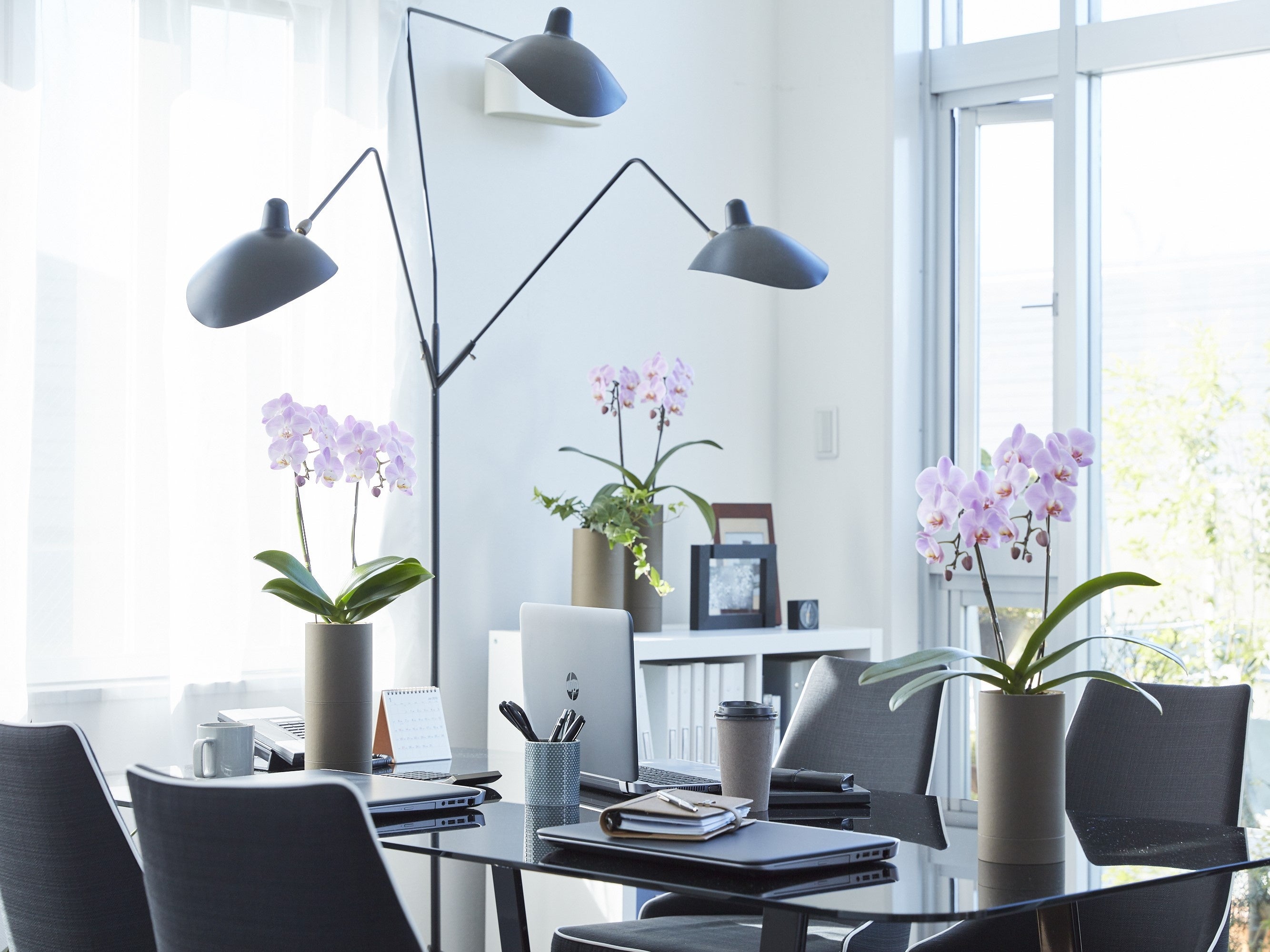 小分けにシェアして幸せのおすそ分けも楽しめます