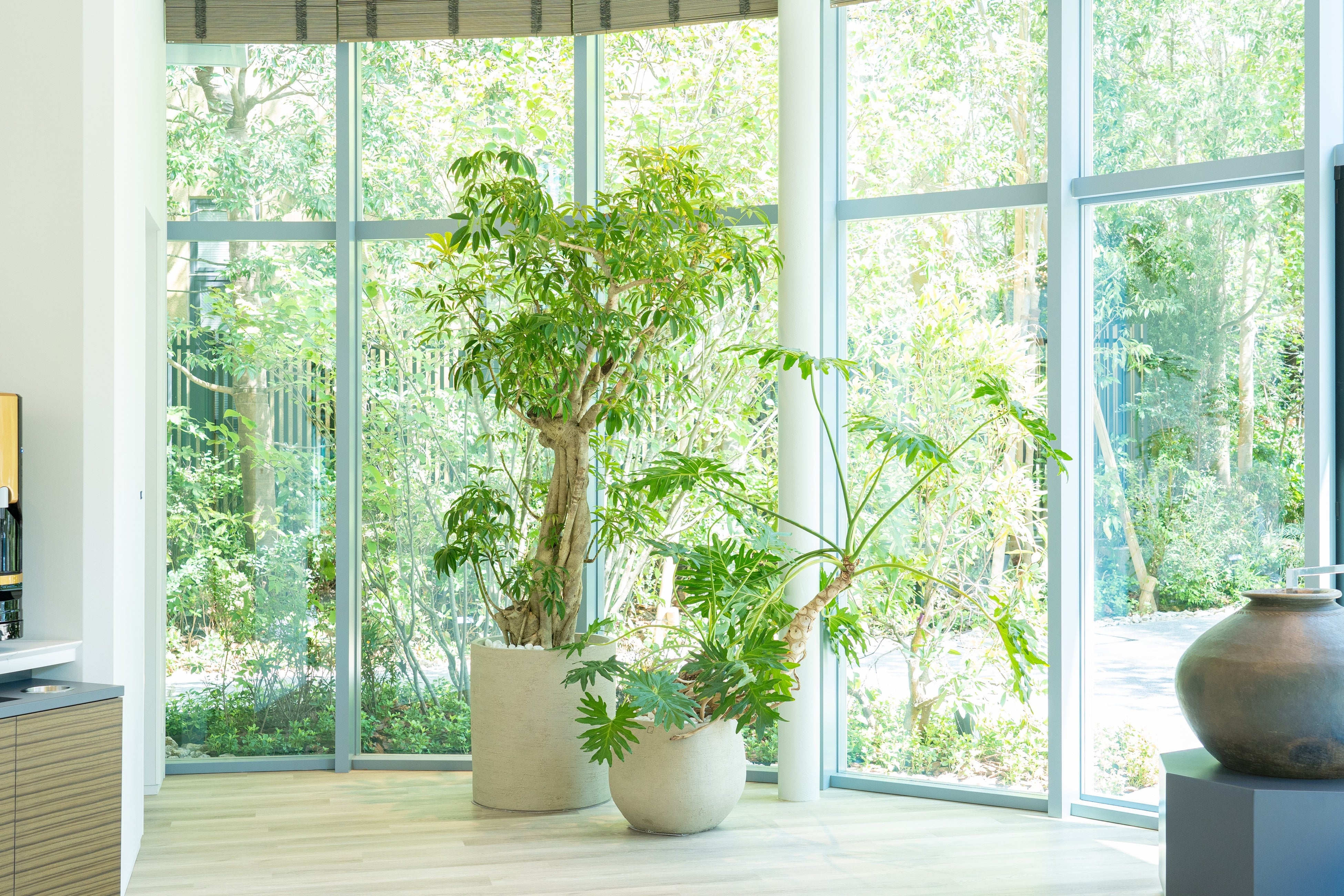 自然の樹形を生かしたグリーン