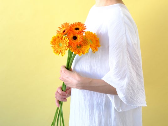 4月18日(土)は「ガーベラ記念日」「希望」「前向き」「常に前進」の花言葉で、新生活にエールを! 4月18日(土)は「ガーベラ記念日」「希望」「前向き」「常に前進」の花言葉で、新生活にエールを!