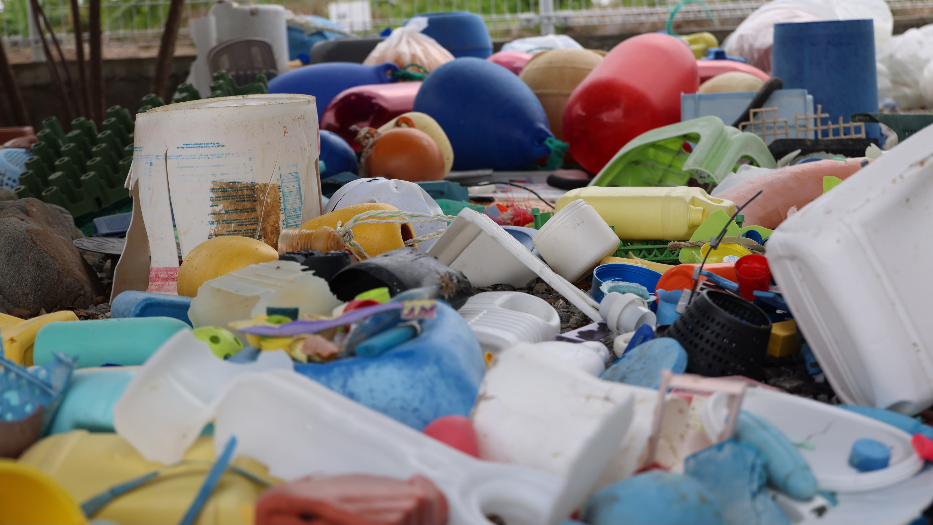 清掃活動で集まった海洋ごみ