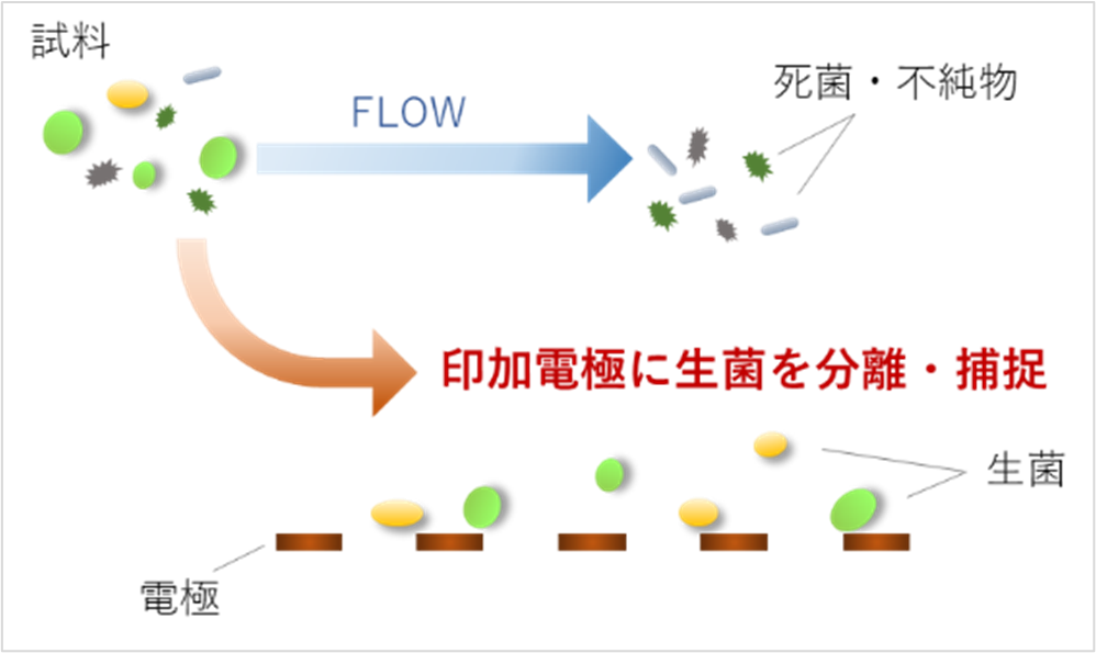 ▲生菌分離の仕組み