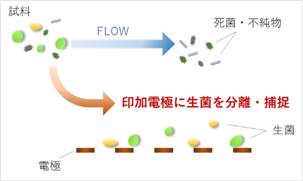 ▲生菌分離の仕組み