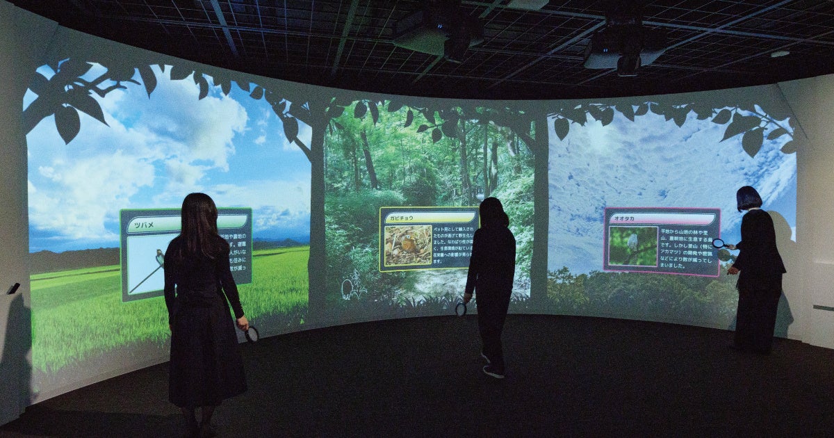 虫めがねをかざすと生きものの情報が見られる