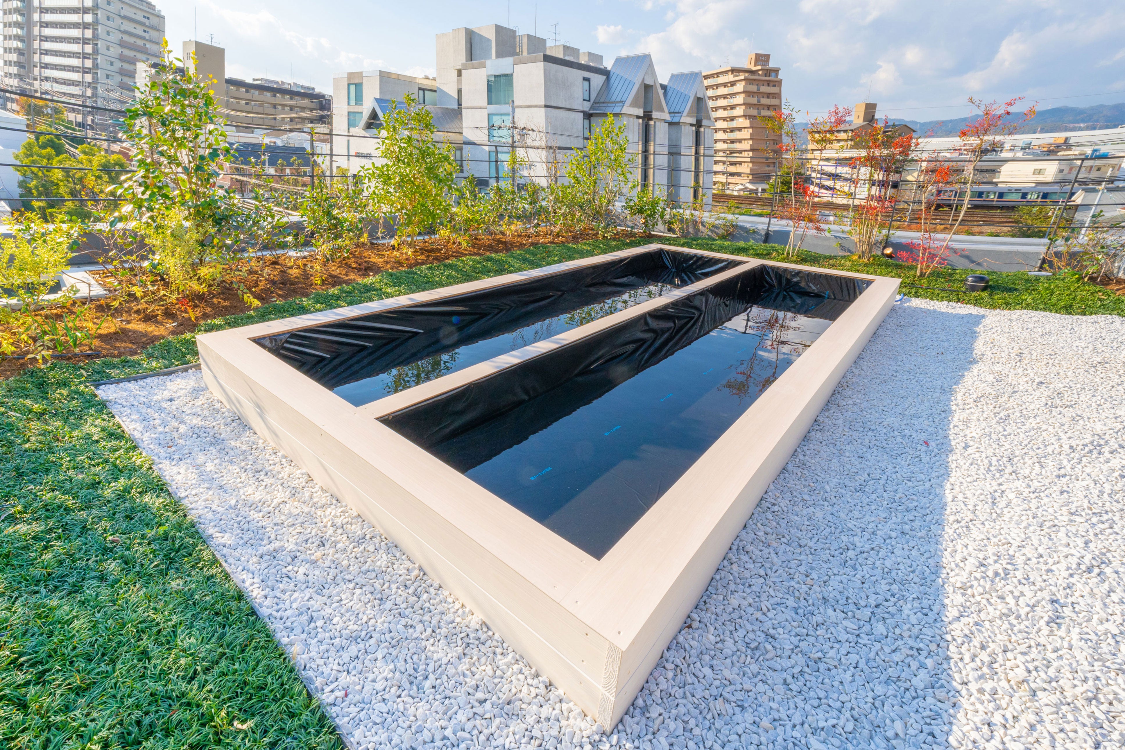 ＜水耕栽培エリア＞