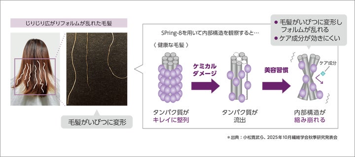 Aujuaより、髪1本1本をケアし、“美フォルム”ケア*テクノロジーで揺れる Aujuaより、髪1本1本をケアし、“美フォルム”ケア*テクノロジーで揺れる