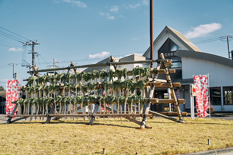 冬の風物詩「大根やぐら」のミニバージョンを町の玄関口・日向新富駅前に表現。新富芸術祭の思いを具現化したモニュメントとなりました（大根は2週間で干し大根として収穫）。