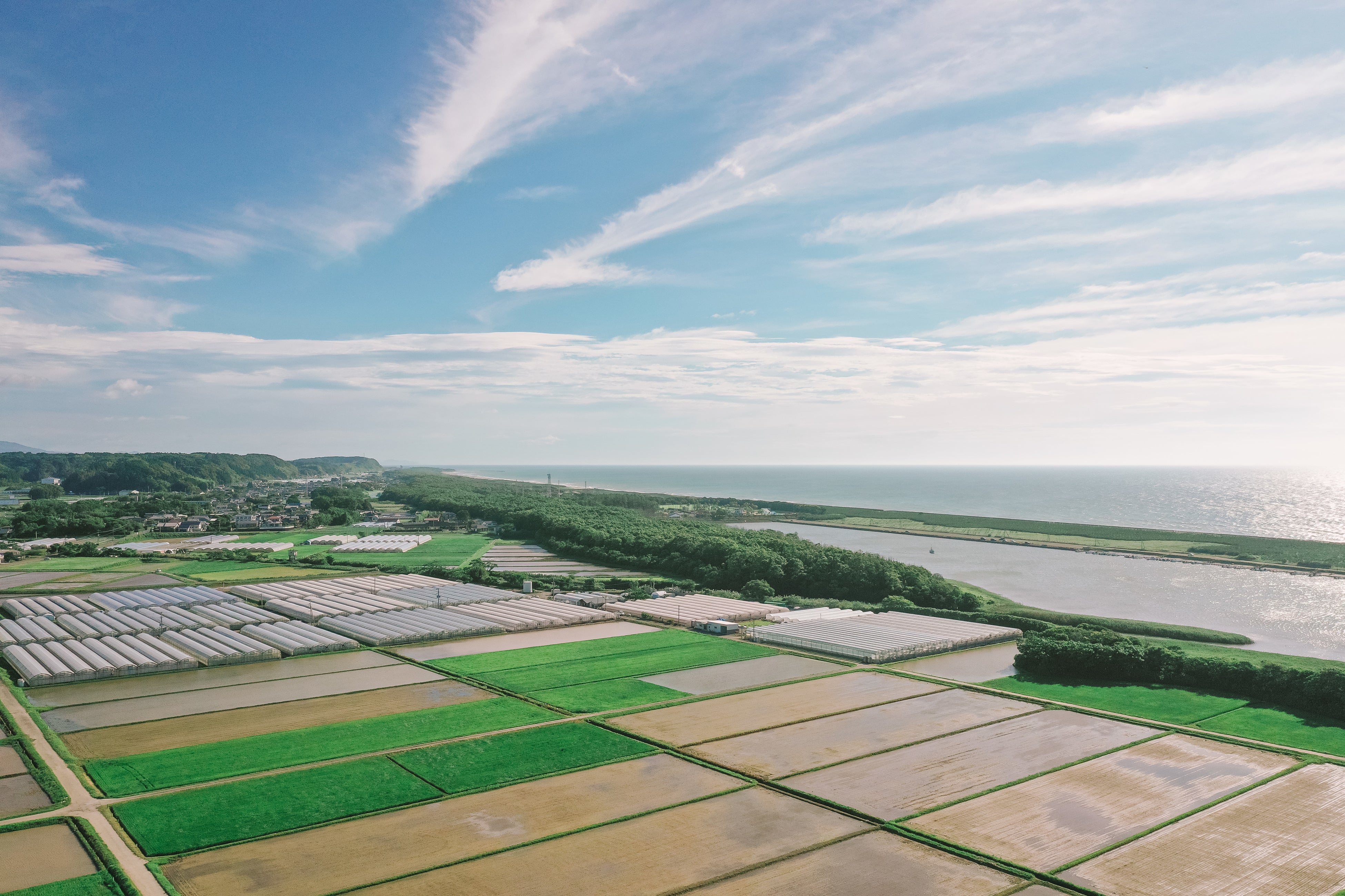 新富町風景　photo by Yuta Nakayama