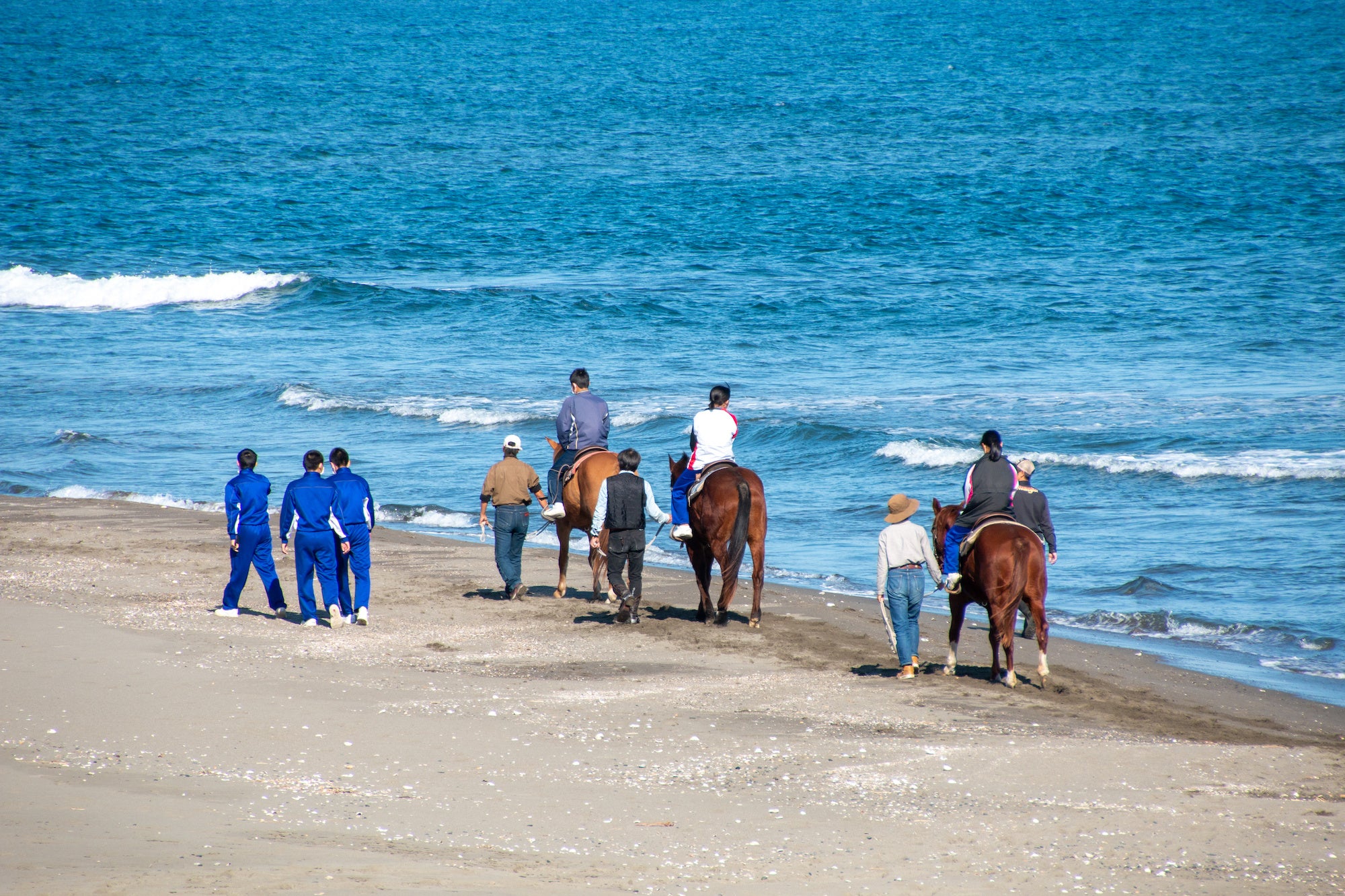 海岸での乗馬体験は「海の環境」について考えるきっかけに