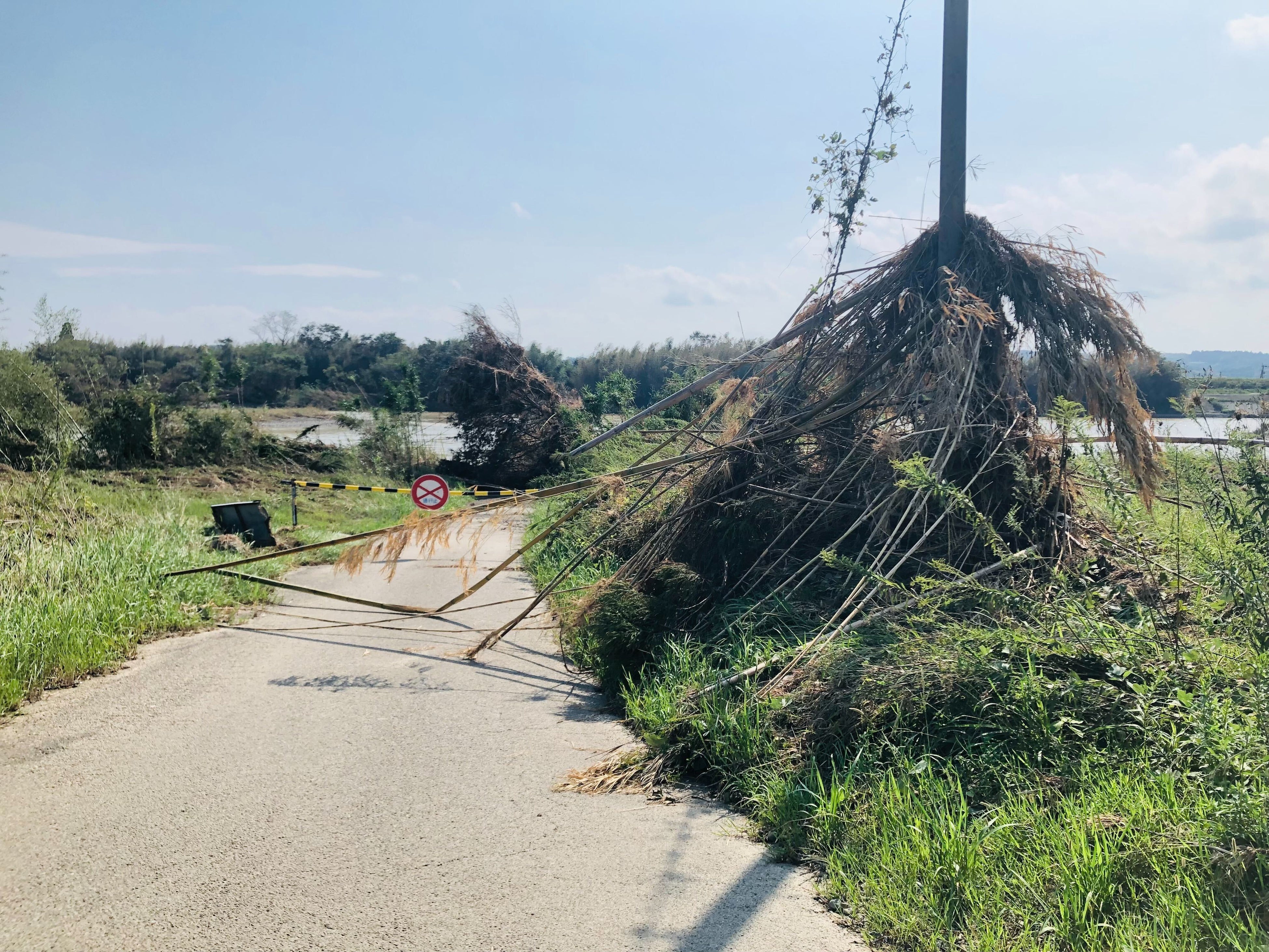 実際の新富町の様子（9月29日撮影）