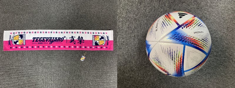 寄附の返礼品には、応援に欠かせないタオルマフラーや、好きな選手のサイン入りグッズを用意。 