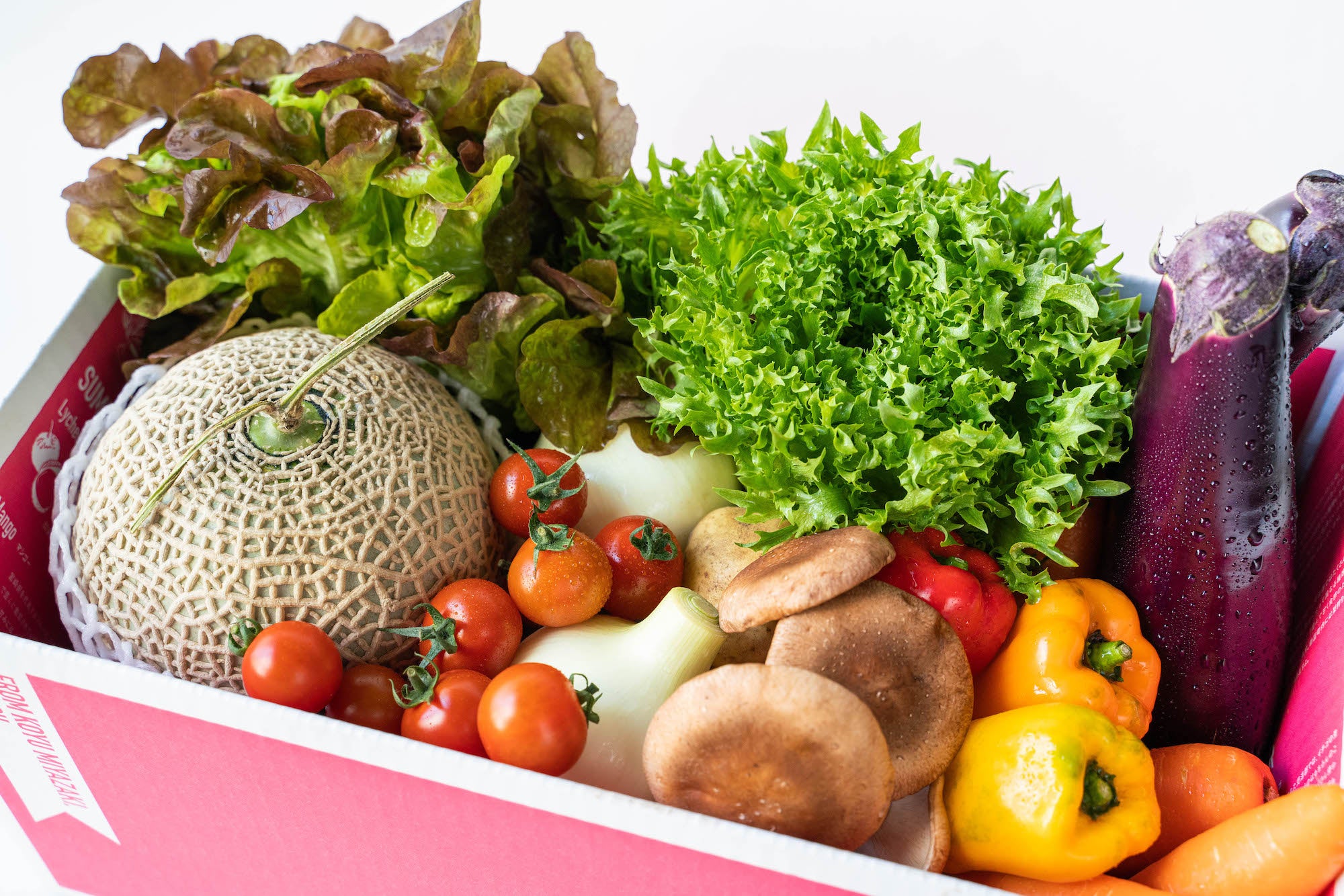 ※写真はイメージです