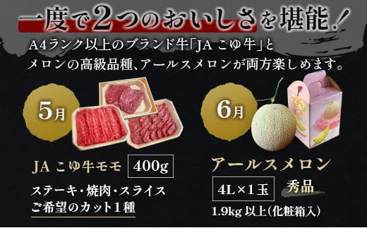 C 390 大玉 Uzbekistan would be close to purchasing two Embraer C-390