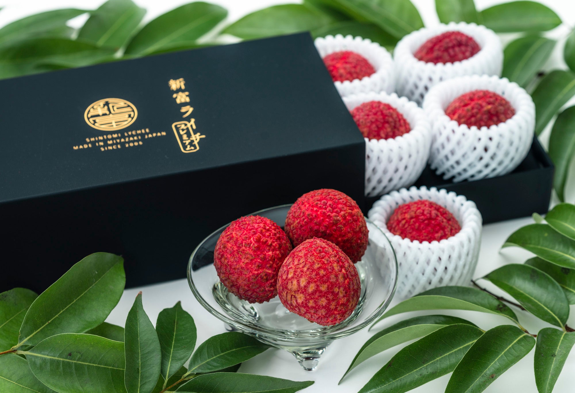 ▲まもなく発送スタート！今が旬の「新富ライチ」