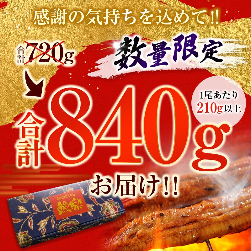 画像は「4尾840g以上」のものです。