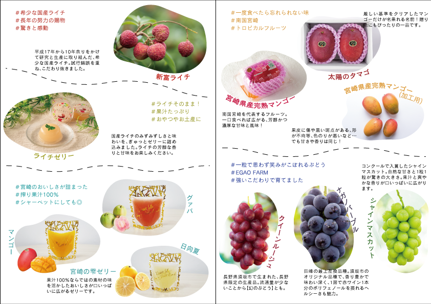 新富町ふるさと納税返礼品として人気のライチを始め、各種フルーツを展示いたします。