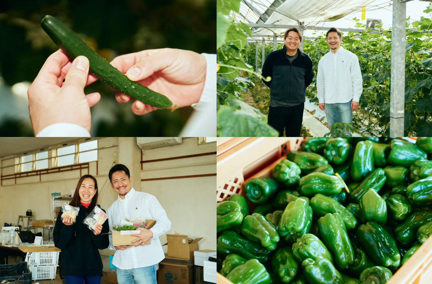 株式会社木々家 代表の小島氏が新富町を訪問した際の様子。みらい畑株式会社 石川氏（写真左下）と猪俣氏（写真右上）