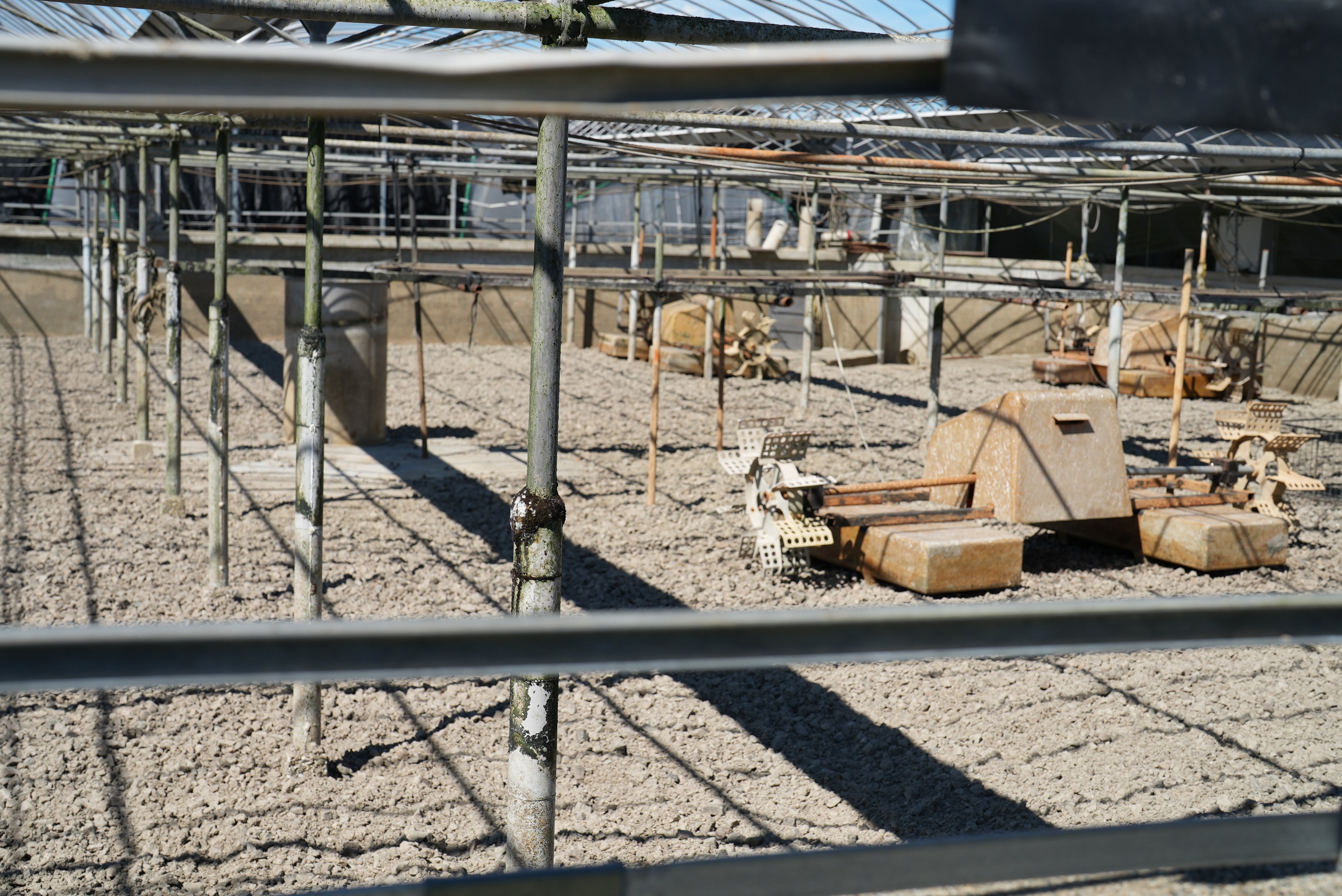 養鰻において微生物が生きやすい土壌つくりはとても大切とのこと